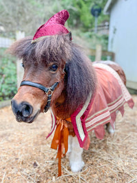 Mini Minstrel -  Robin Hood Costume for Mini Horse with Classic Hat and High Gothic Jacket