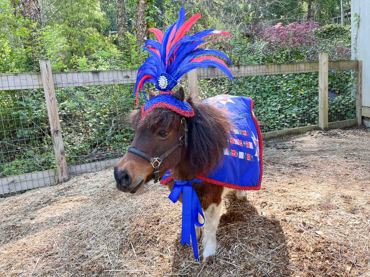 Starworks - Feathered Headdress, Quilted Cape and Tail Fascinator for Mini Horse