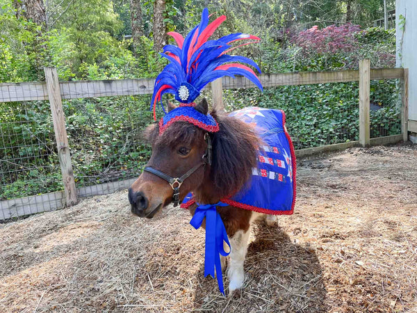 Starworks - Feathered Headdress, Quilted Cape and Tail Fascinator for Mini Horse