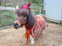 Mini Minstrel -  Robin Hood Costume for Mini Horse with Classic Hat and High Gothic Jacket