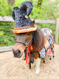 Hocus Pocus and Patches - Halloween Jester costume with hat and quilted cape for Mini Horse