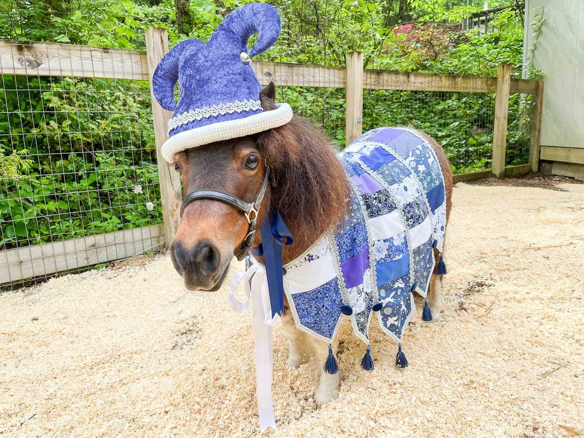 Winter Whimsy - Holiday Jester costume with hat and quilted cape for Mini Horse