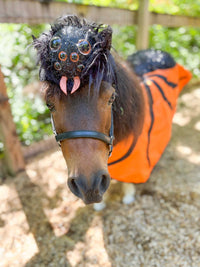 Spooky Spider Rider -  Halloween Costume for Mini Horse with Spider Hat and Pumpkin Orange Cape