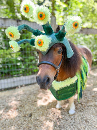 Green Eyed Monster -  Halloween Costume for Mini Horse with Multi-eyed Hat and Monstrous Body