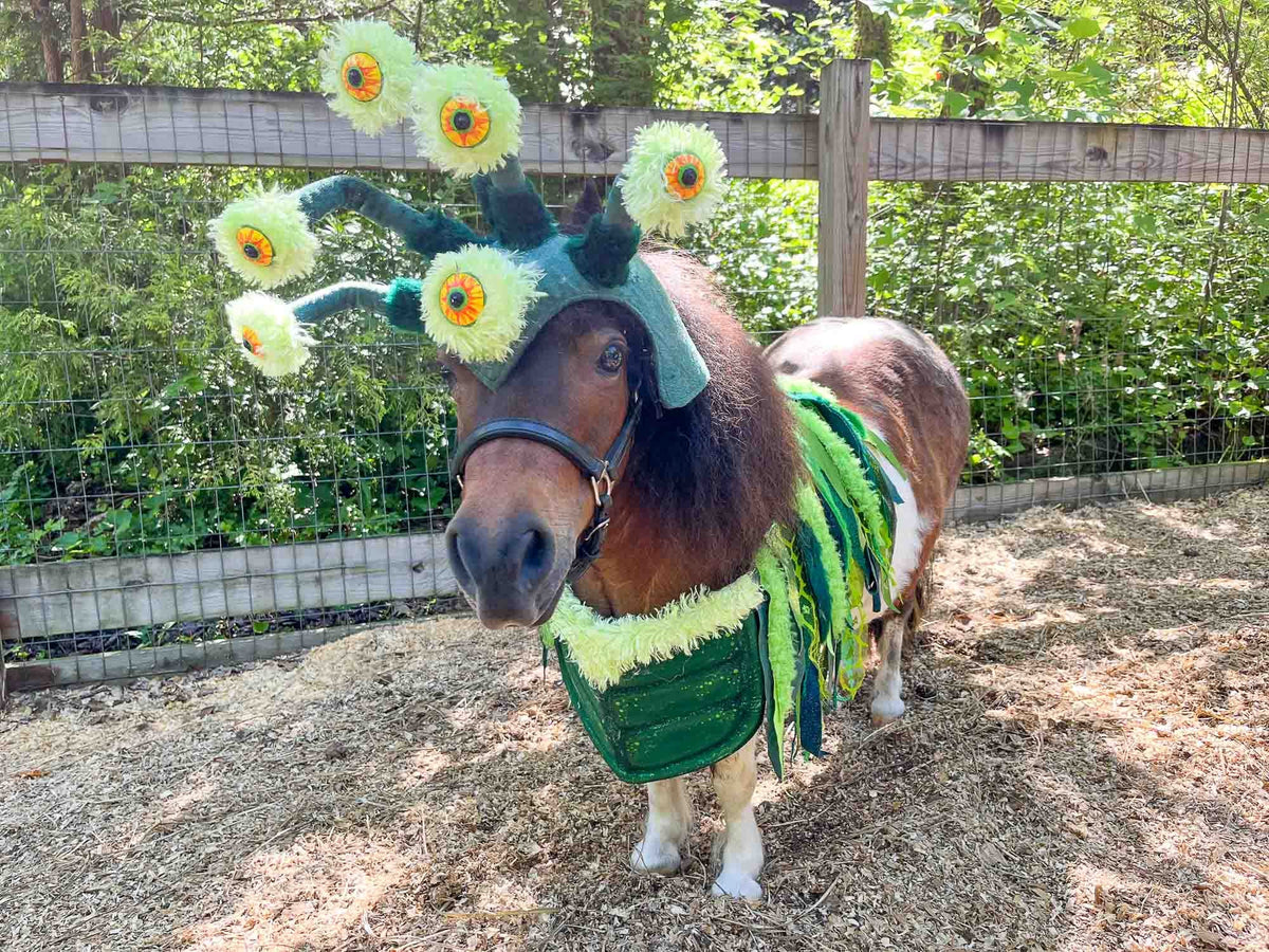 Green Eyed Monster -  Halloween Costume for Mini Horse with Multi-eyed Hat and Monstrous Body