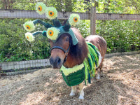 Green Eyed Monster -  Halloween Costume for Mini Horse with Multi-eyed Hat and Monstrous Body