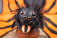 Spooky Spider Rider -  Halloween Costume for Mini Horse with Spider Hat and Pumpkin Orange Cape