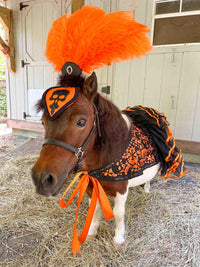 Mini Macabre - Halloween Feathered Headdress, Ruffled Skirt Cape and Tail Fascinator for Mini Horse
