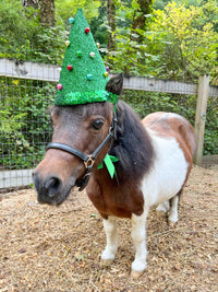 Pine and Dandy - Christmas Hat for Miniature Horse