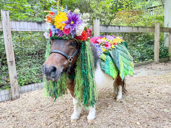 Mini Mother Earth - Floral Headdress and Leaf Cape