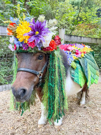 Mini Mother Earth - Floral Headdress and Leaf Cape