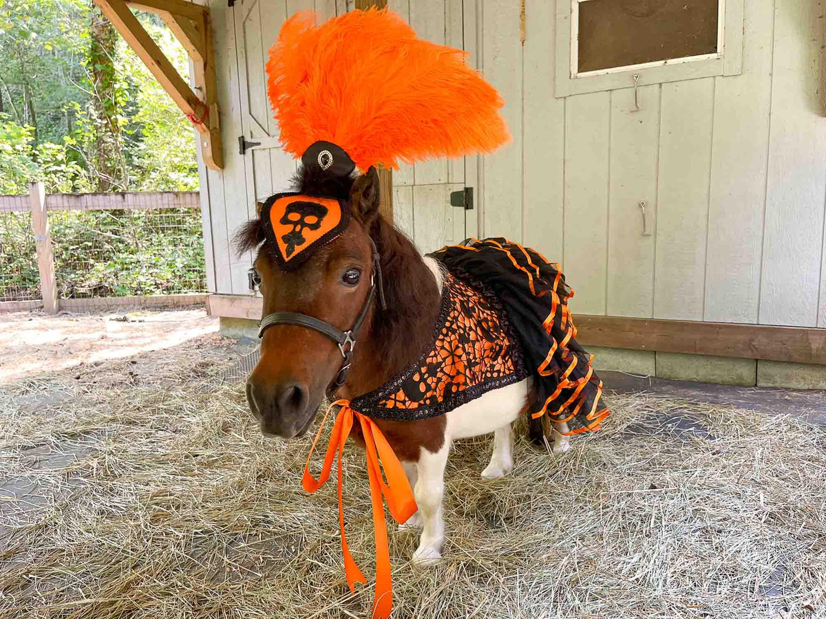 Mini Macabre - Halloween Feathered Headdress, Ruffled Skirt Cape and Tail Fascinator for Mini Horse