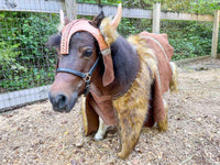 Bucking Barbarian - Viking Costume for Mini Horse with Horned Helmet and Barbarian Cape