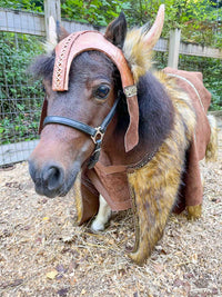 Bucking Barbarian - Viking Costume for Mini Horse with Horned Helmet and Barbarian Cape