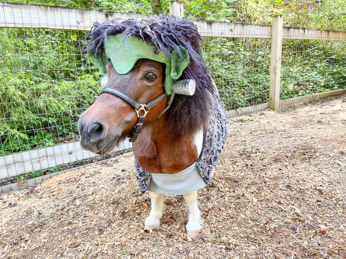 Franken-Mini -  Halloween Costume for Mini Horse with Franken-head, bolts and stressed Shirt-Cape