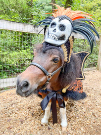Baroness of the Boneyard - Halloween Headdress with Skull, Stand Up Collar, and Lacey Skull Cape for Mini Horse