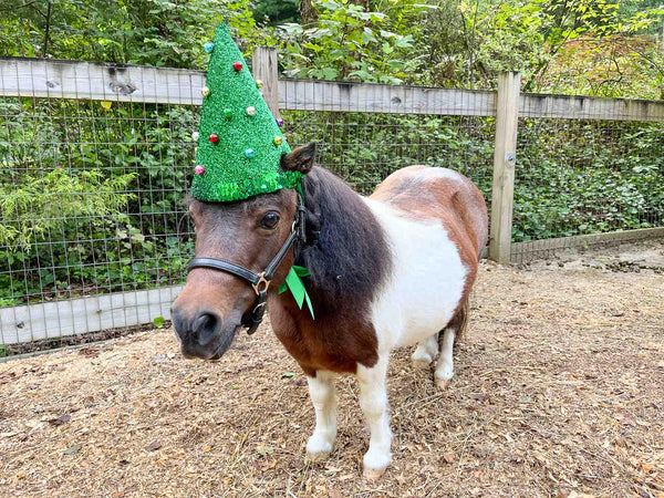 Pine and Dandy - Christmas Hat for Miniature Horse