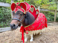 Queen of Hearts -  Halloween Costume with Hat and Cape for Mini Horse