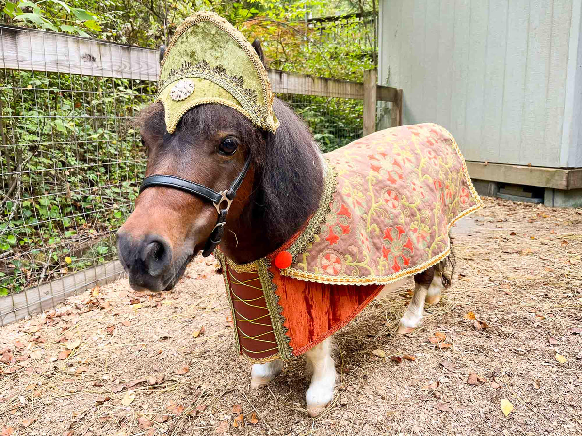 Maid Marion - Halloween Maiden Costume with Hat and Laced Bodice for Mini Horse