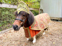 Maid Marion - Halloween Maiden Costume with Hat and Laced Bodice for Mini Horse