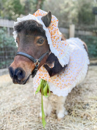 Colonial Chick - Easter Costume with Bonnet, Cape and Tail Fascinator for Mini Horse