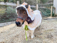 Colonial Chick - Easter Costume with Bonnet, Cape and Tail Fascinator for Mini Horse