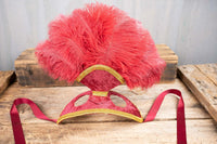 Crimson Dawn - Feathered Mini Headdress and Tail Fascinator for Mini Horse