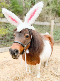 Cottontail Crown - Easter Bunny Head Piece for Mini Horse