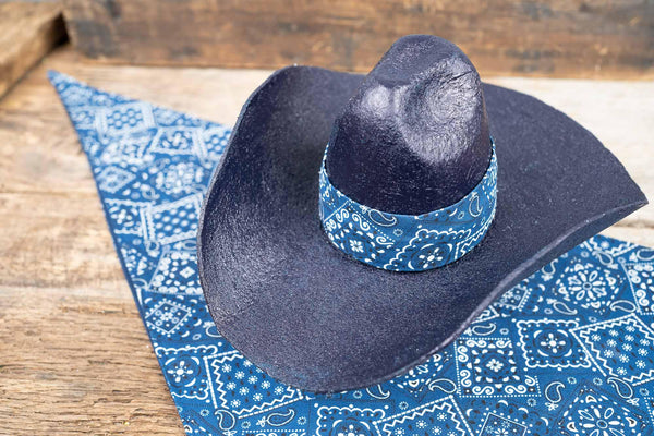 Dusty Trailblazer - Cowboy Hat and Bandana for Mini Horse