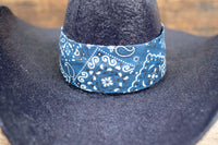 Dusty Trailblazer - Cowboy Hat and Bandana for Mini Horse