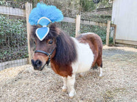 Carribean Can Can - Feathered Mini Headdress and Tail Fascinator for Mini Horse