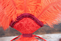 Fabulous Firecracker - Feathered Mini Headdress and Tail Fascinator for Mini Horse