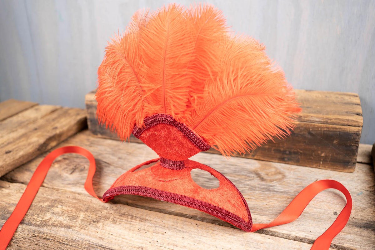 Fabulous Firecracker - Feathered Mini Headdress and Tail Fascinator for Mini Horse