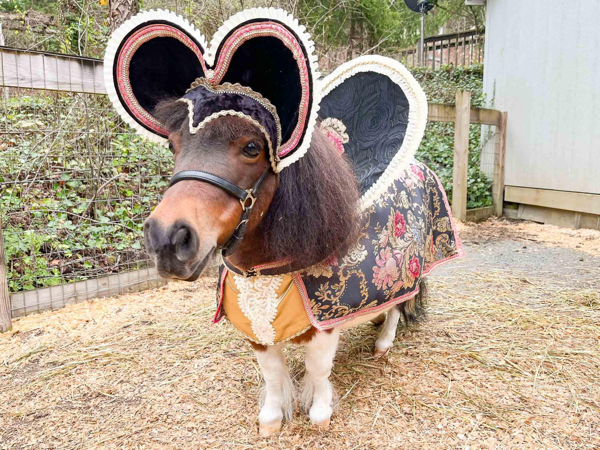 Monarch of Mini Manor -  Halloween Costume with Hat and Cape for Mini Horse