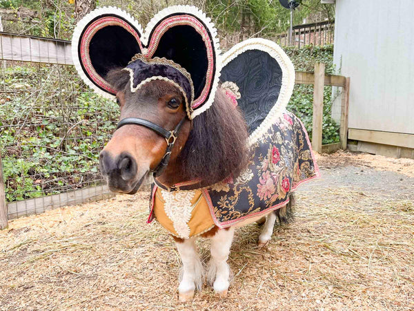 Monarch of Mini Manor -  Halloween Costume with Hat and Cape for Mini Horse
