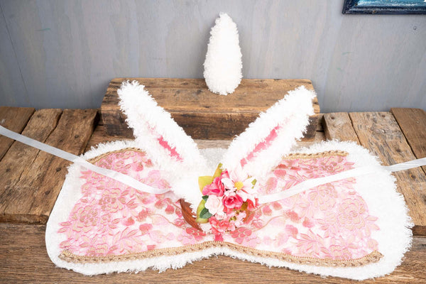Hoppy Easter - Easter Bunny Costume for Mini Horse