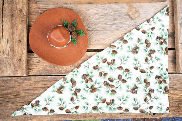 Pinecone Partner - Cowboy Hat and Bandana for Mini Horse