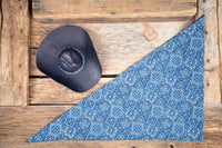 Dusty Trailblazer - Cowboy Hat and Bandana for Mini Horse