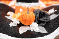 Witch of the Enchanted Forest-  Witch costume with hat and cape for Mini Horse