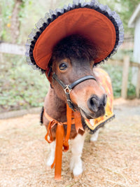 Sunset Harvest - Valentine Costume with Bonnet, Cape and Tail Fascinator for Mini Horse