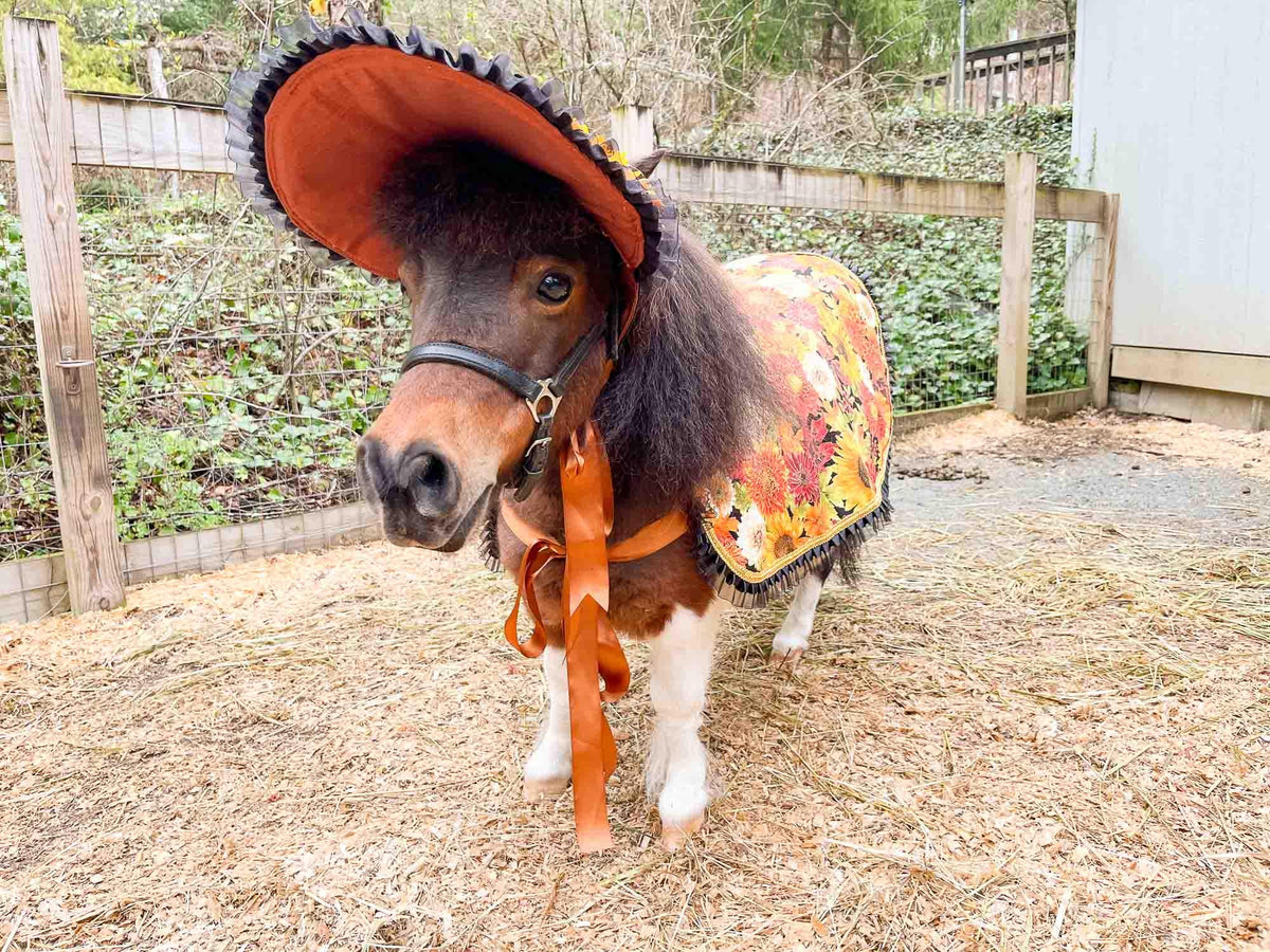 Sunset Harvest - Valentine Costume with Bonnet, Cape and Tail Fascinator for Mini Horse
