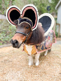Monarch of Mini Manor -  Halloween Costume with Hat and Cape for Mini Horse