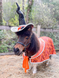 Witch of the Enchanted Forest-  Witch costume with hat and cape for Mini Horse