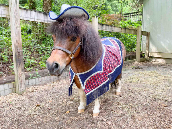 Star Spangled Stampede - Fancy Cowboy Set with Hat, Fringed Shawl and Tail Fascinator