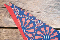 Star-Spangled Sheriff - Hat and Bandana for Mini Horse