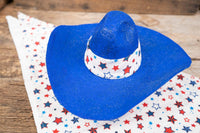 Freedom Buckaroo - Hat and Bandana for Mini Horse