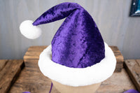 Hi Ho Holiday - Santa Hat - Christmas Hat for Miniature Horse
