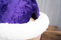 Hi Ho Holiday - Santa Hat - Christmas Hat for Miniature Horse