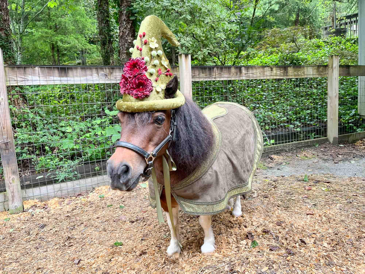 Elderberry Enchantment - Halloween Fantasy Costume for Miniature Horse