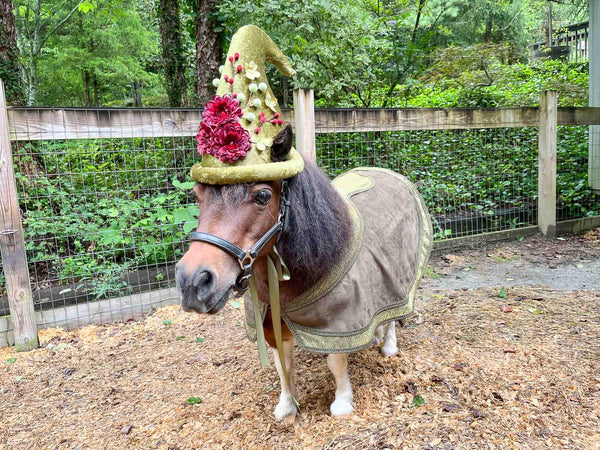Elderberry Enchantment - Halloween Fantasy Costume for Miniature Horse
